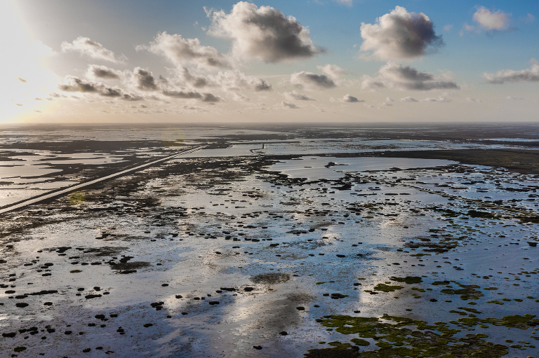 Coastal Wetlands in Louisiana