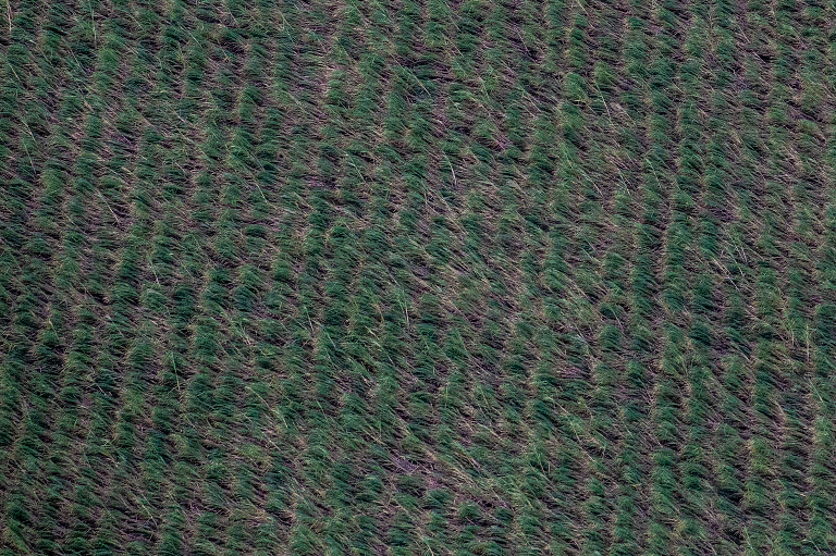 Hurricane Laura devastates Lake Charles, Louisiana.