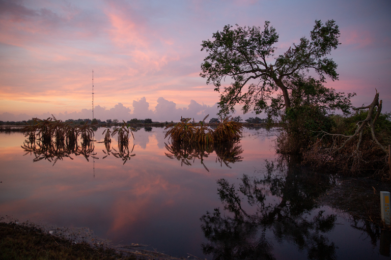 Hurricane Laura, destruction, marsh, climate change, global warming